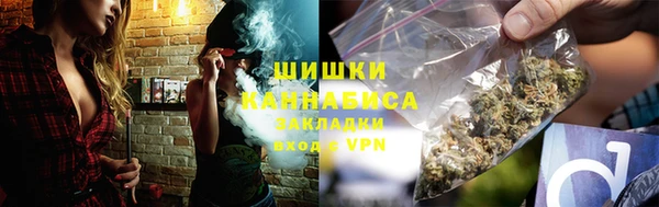 индика Беломорск