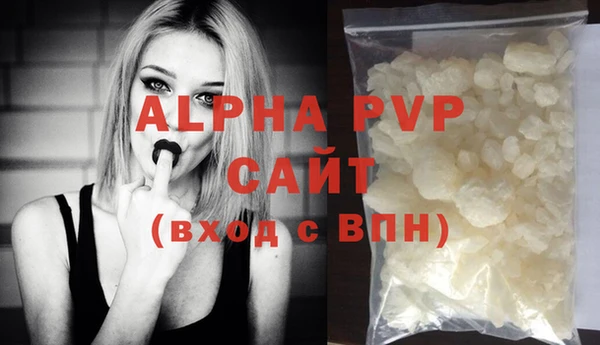 индика Беломорск