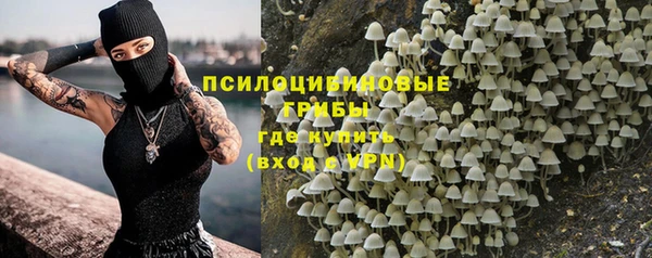 индика Беломорск