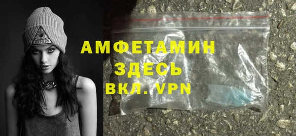 дмт Богданович