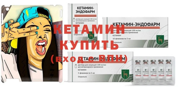 индика Беломорск