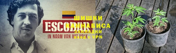 индика Беломорск