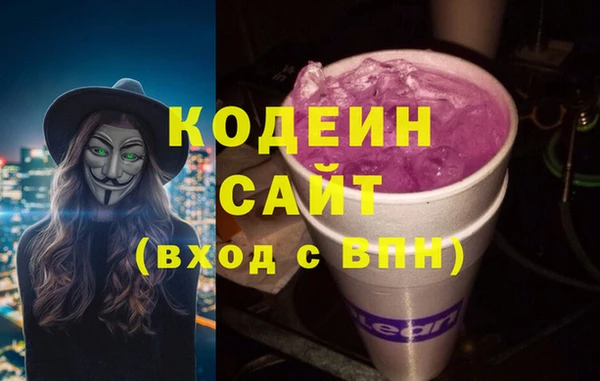 индика Беломорск