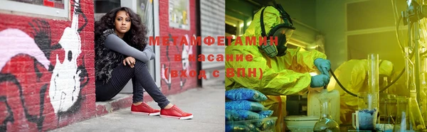 индика Беломорск