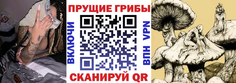 Псилоцибиновые грибы прущие грибы Ворсма