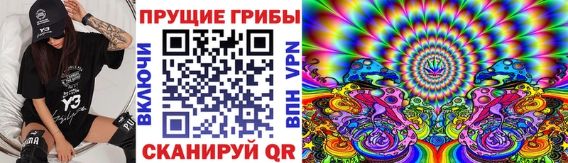 Купить где  Ворсма  Псилоцибиновые грибы прущие грибы 